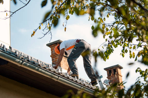 Best Metal Roofing Installation  in Holiday Shores, IL