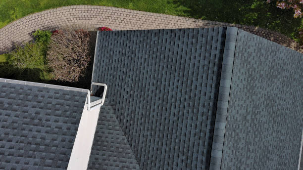 Best Roof Maintenance and Cleaning  in Holiday Shores, IL